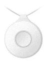 DS-PDEBP1-EG2-WE